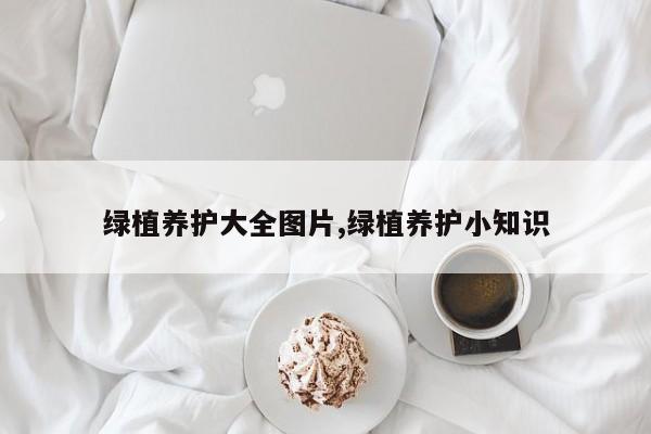 绿植养护大全图片,绿植养护小知识