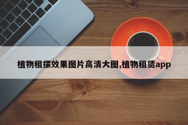 植物租摆效果图片高清大图,植物租赁app
