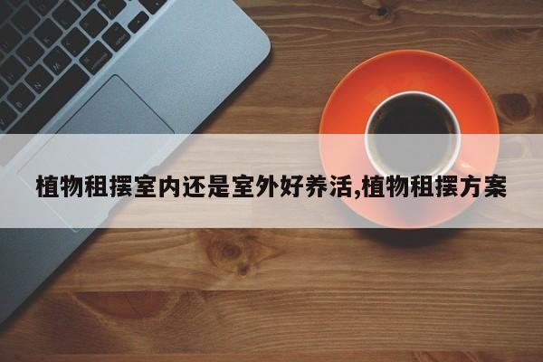 植物租摆室内还是室外好养活,植物租摆方案