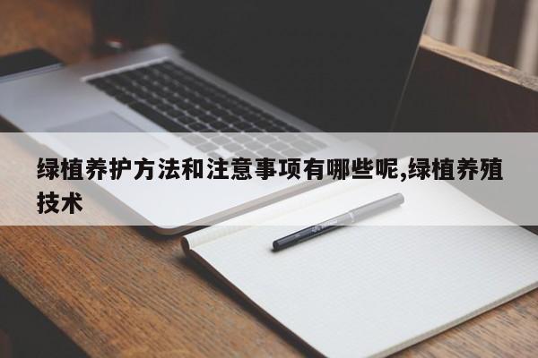 绿植养护方法和注意事项有哪些呢,绿植养殖技术