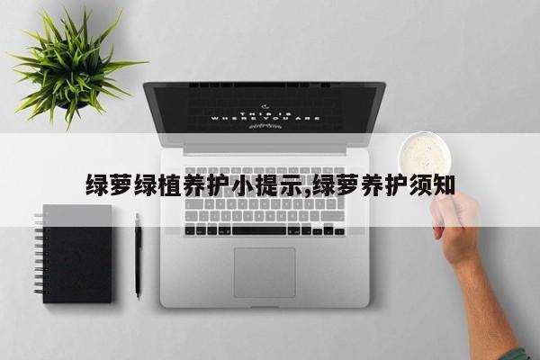 绿萝绿植养护小提示,绿萝养护须知