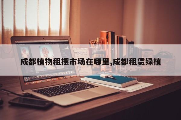 成都植物租摆市场在哪里,成都租赁绿植