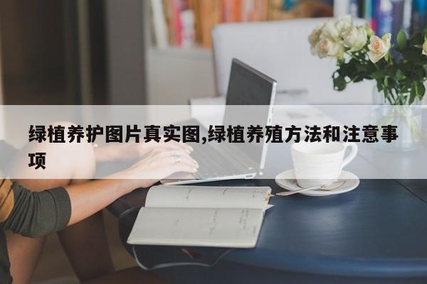 绿植养护图片真实图,绿植养殖方法和注意事项