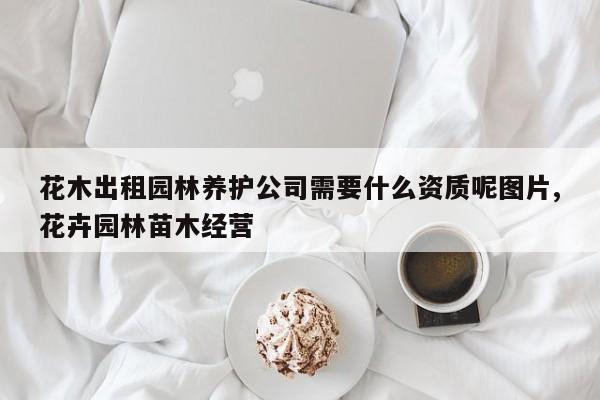 花木出租园林养护公司需要什么资质呢图片,花卉园林苗木经营